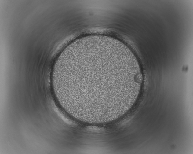 X0000110870633200907161439