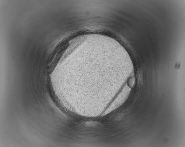 X0000110870637200907161439