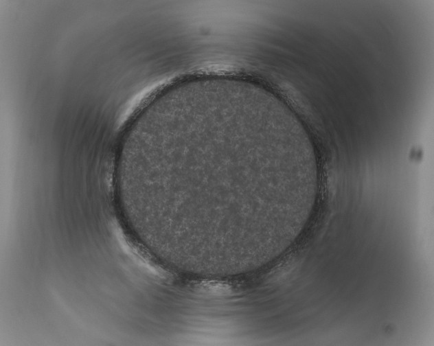 X0000110870640200907161439