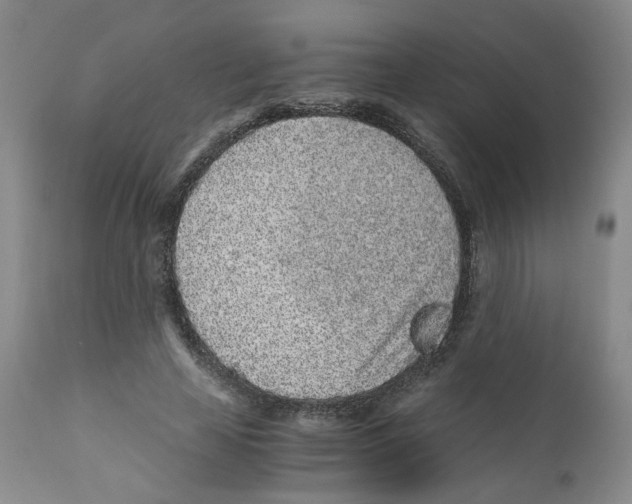 X0000110870641200907161439