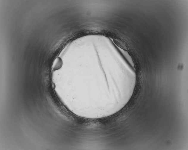 X0000110870642200907161439