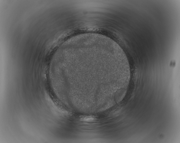 X0000110870643200907161439