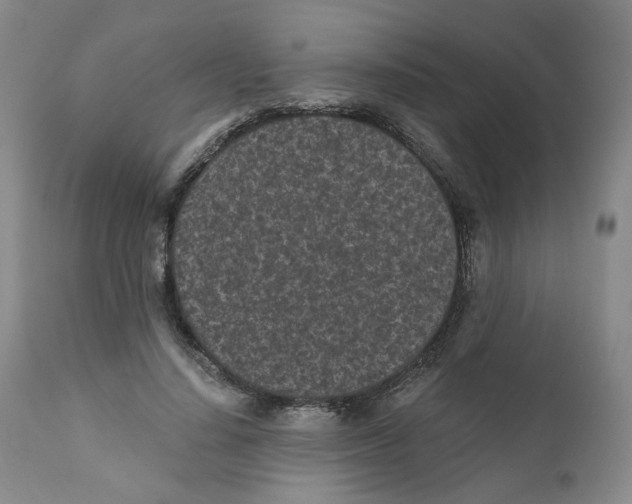 X0000110870644200907161439