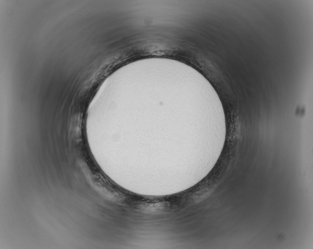 X0000110870646200907161439