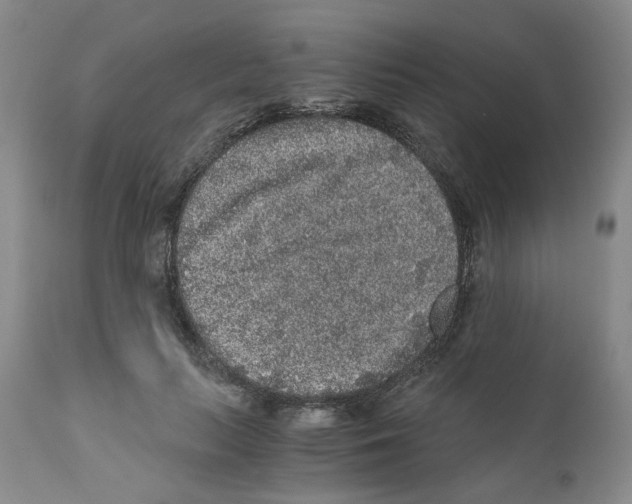 X0000110870647200907161439