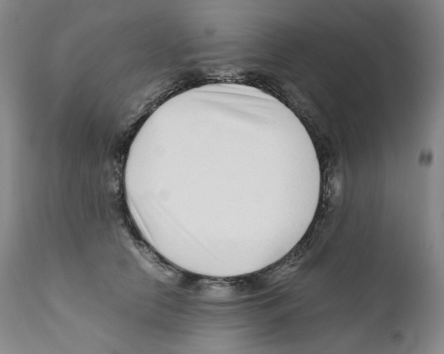 X0000110870658200907161440