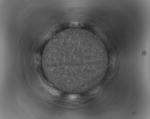 X0000110870659200907161440