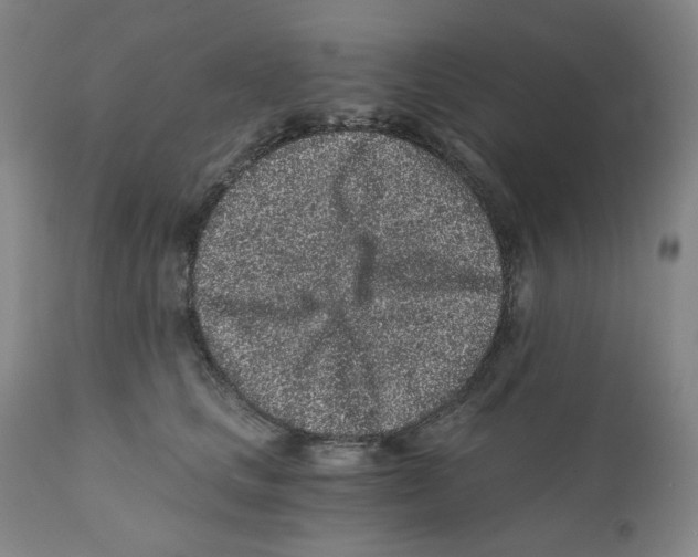 X0000110870661200907161440