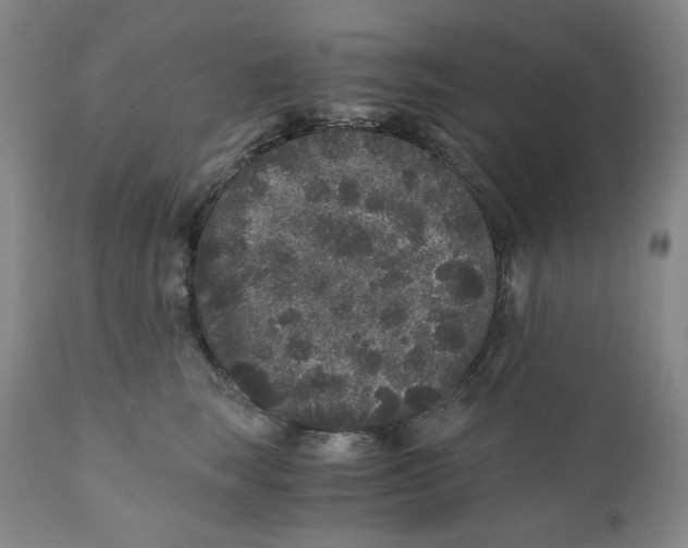 X0000110870663200907161440