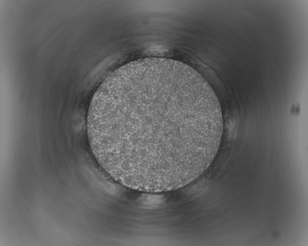 X0000110870665200907161440