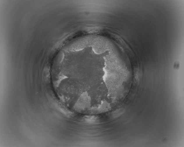 X0000110870667200907161440