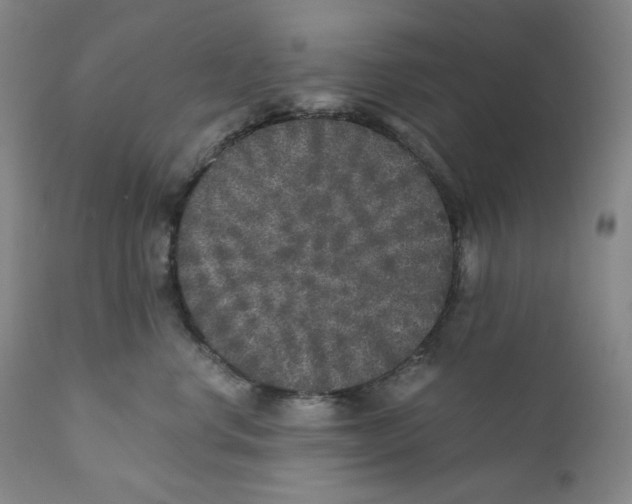 X0000110870668200907161440