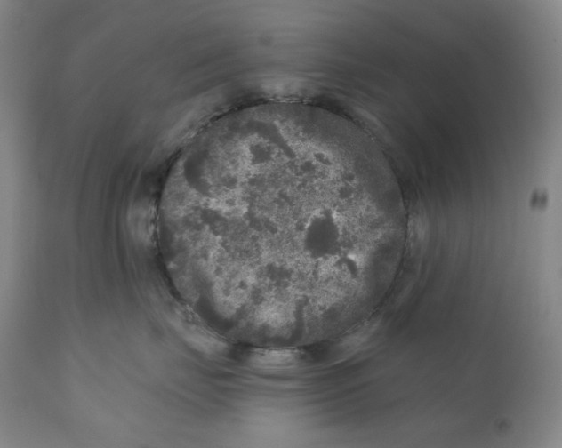 X0000110870671200907161440