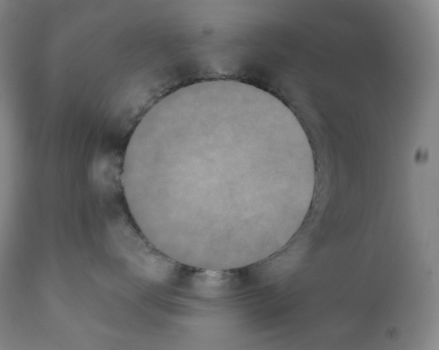 X0000110870672200907161440