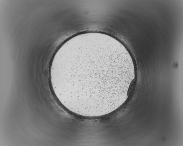 X0000110870673200907161439