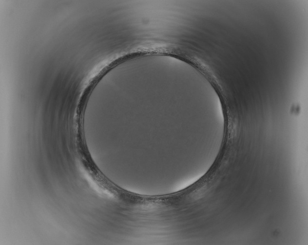 X0000110870674200907161439