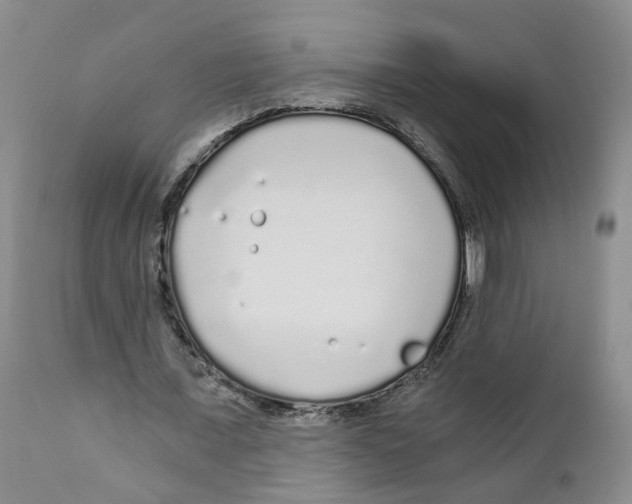 X0000110870675200907161439