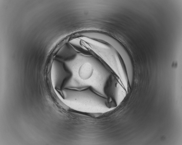 X0000110870676200907161439