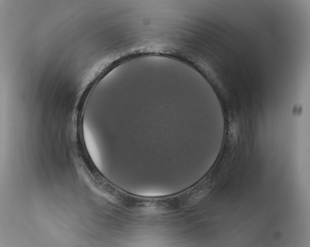 X0000110870678200907161439