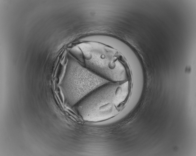 X0000110870681200907161439