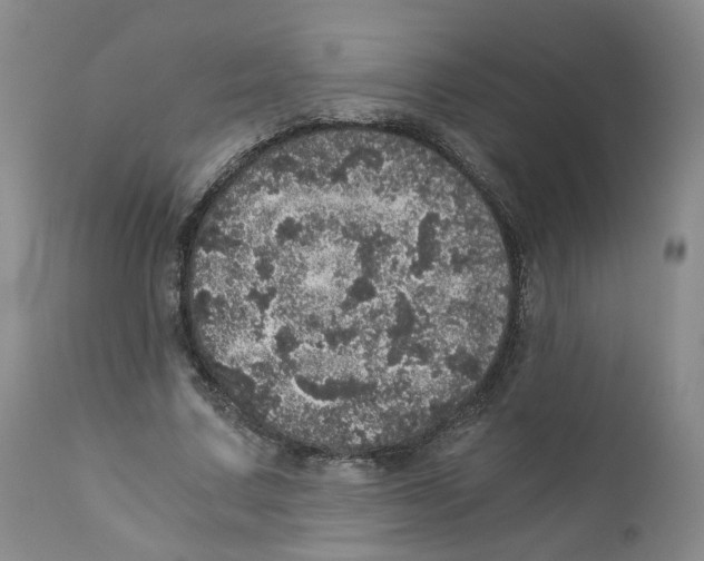 X0000110870683200907161439