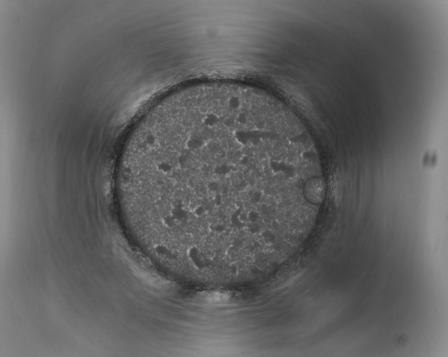 X0000110870687200907161439