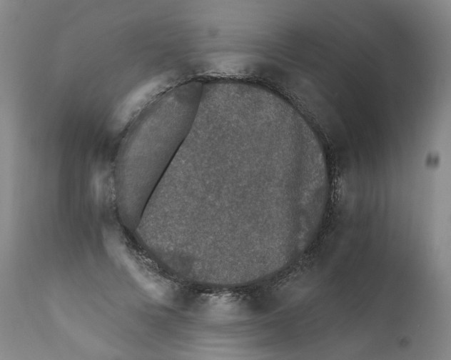 X0000110870688200907161439