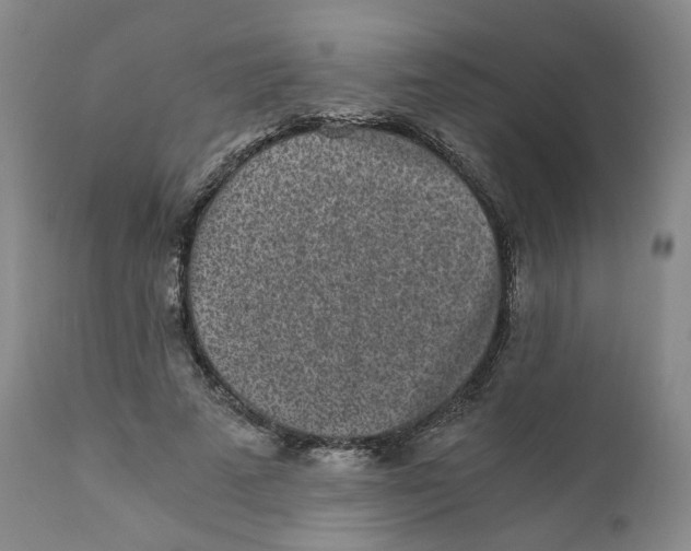 X0000110870689200907161439