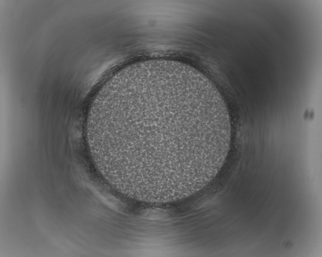 X0000110870691200907161439