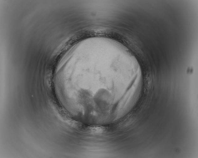 X0000110870698200907161439