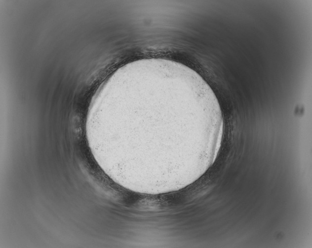 X0000110870699200907161439