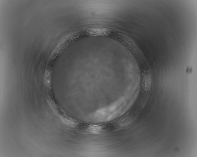 X0000110870701200907161439