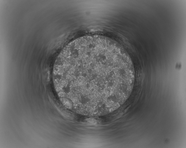 X0000110870703200907161439