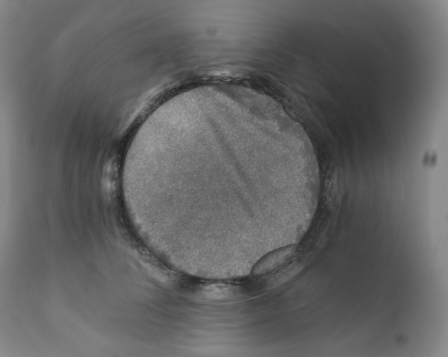 X0000110870708200907161438