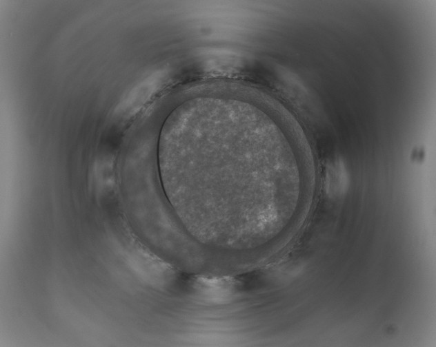 X0000110870712200907161438