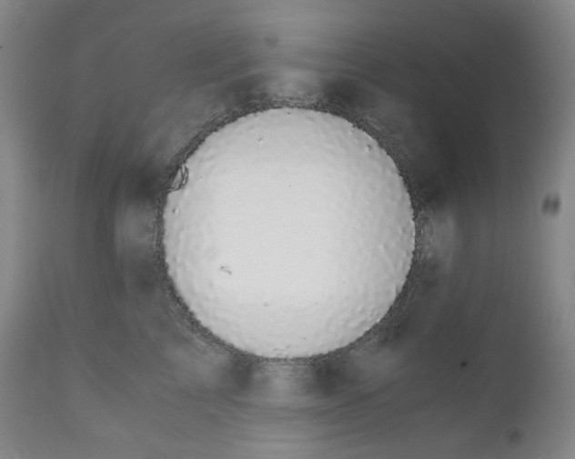 X0000110870713200907161438