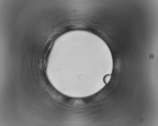 X0000110870715200907161438