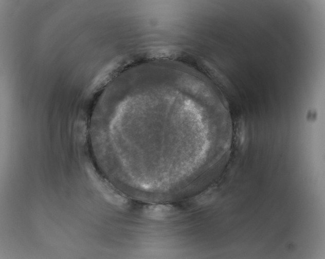 X0000110870716200907161438