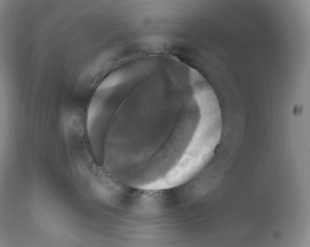 X0000110870720200907161438