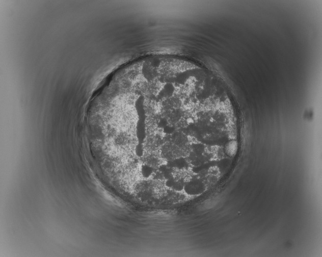 X0000110870721200907161438