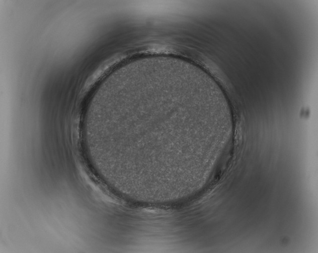 X0000110870722200907161438