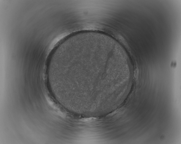 X0000110870724200907161438