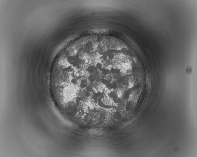 X0000110870725200907161438