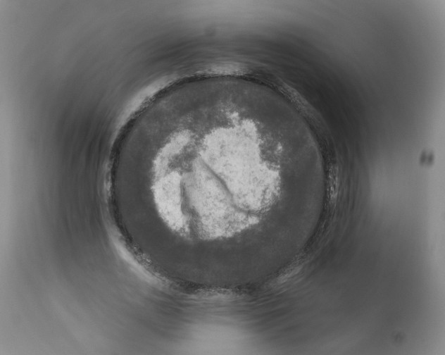 X0000110870726200907161438