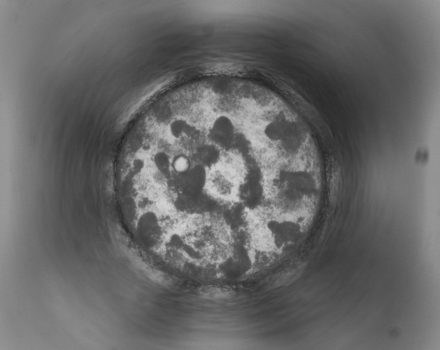 X0000110870729200907161438