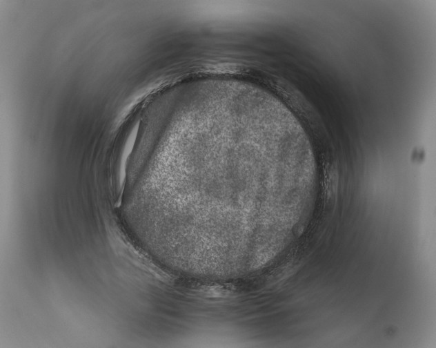 X0000110870731200907161438