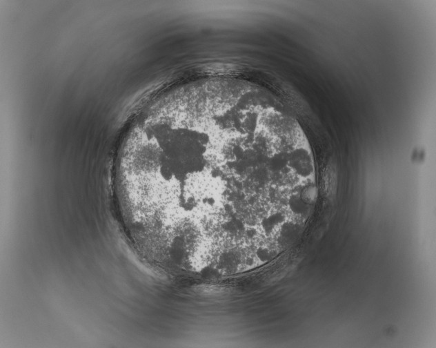 X0000110870733200907161438