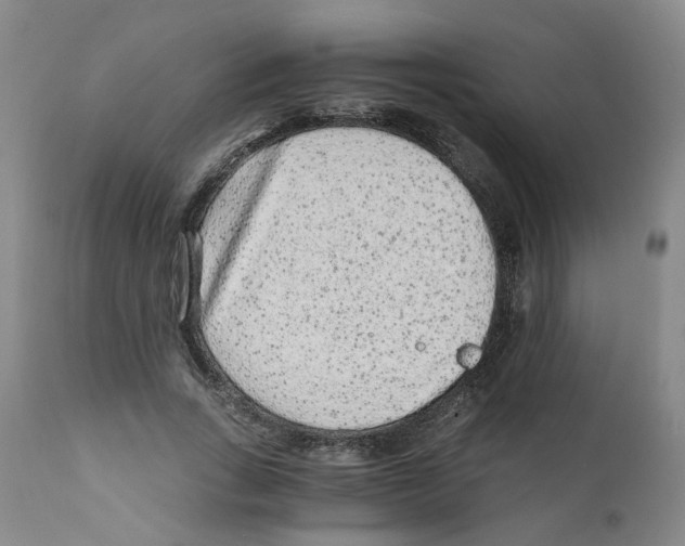 X0000110870735200907161438