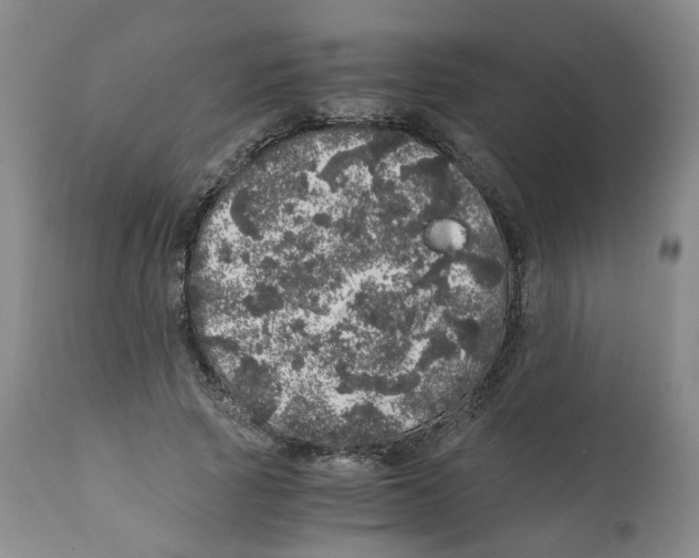 X0000110870737200907161438