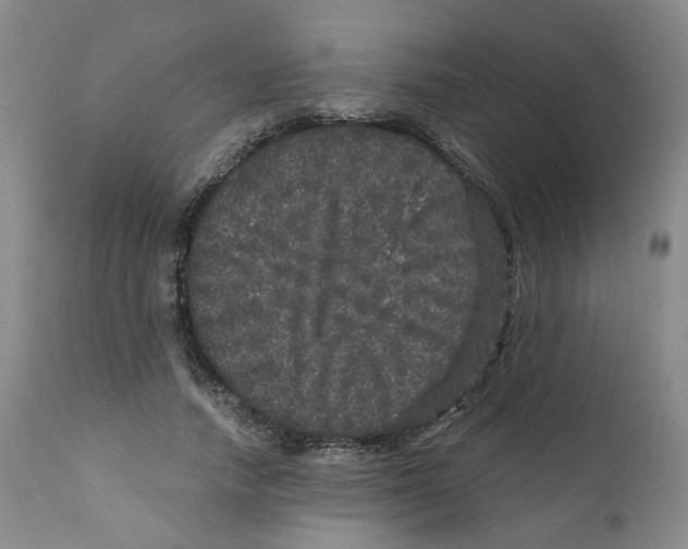 X0000110870738200907161438